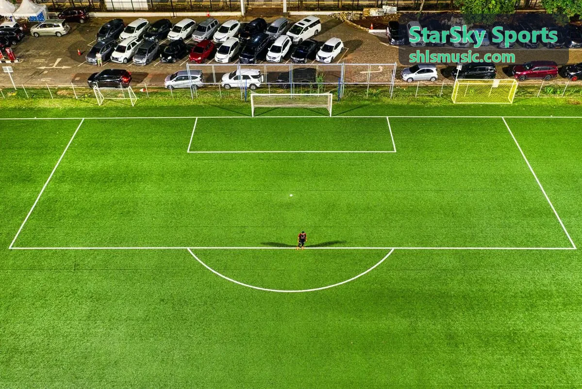 StarSky Sports 运动护具支撑等级与佩戴位置示意